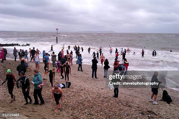 new years day swim - stevebphotography stock pictures, royalty-free photos & images