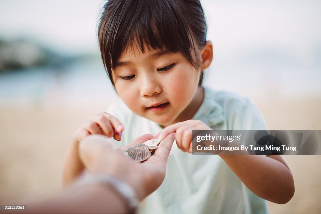 Child picking seashells from dad's hand