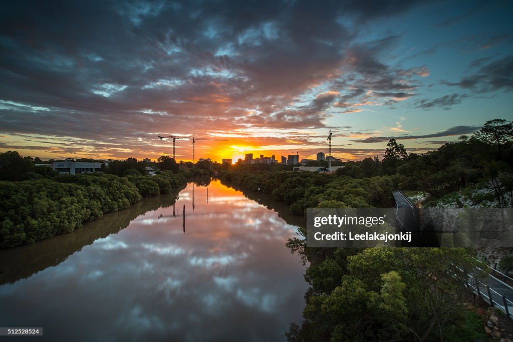 Sydneyscape