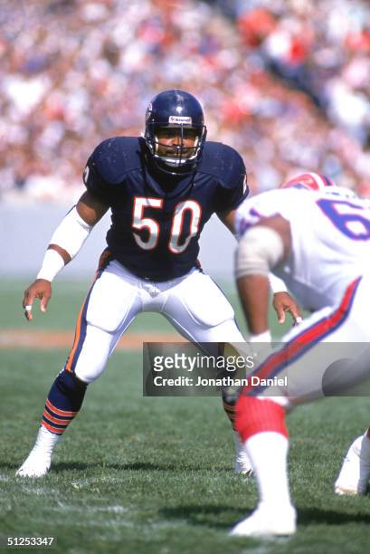 Linebacker Mike Singletary of the Chicago Bears prepares for a play as he stares down at the competition during a game against the Buffalo Bills at...