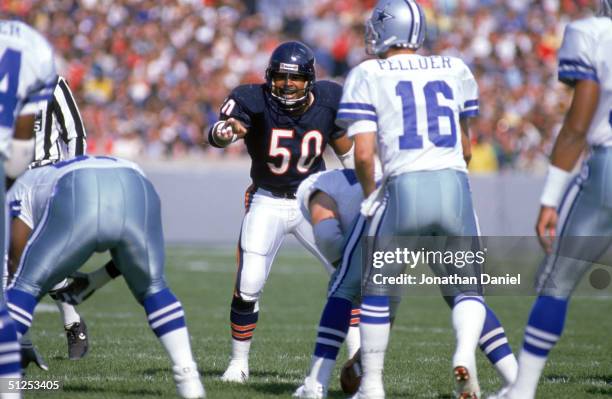 Linebacker Mike Singletary of the Chicago Bears points as he looks over the Dallas Cowboys offense during a game in 1986 at Soldier Field Stadium in...