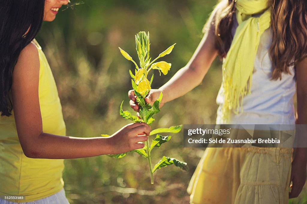 Joy of discover & share. 2 girls holding a flower