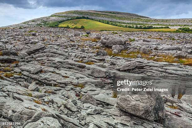 the karst rock formations at the burren, county clare, ireland - roccia carsica foto e immagini stock