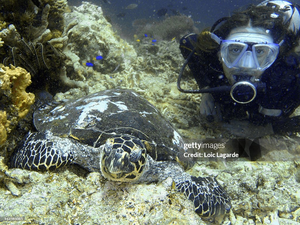 Underwater Scenes