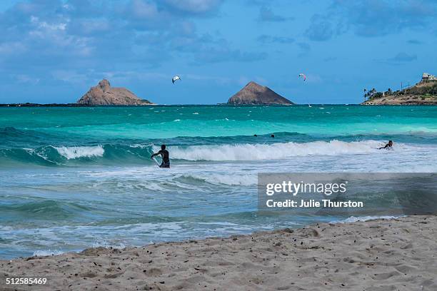 beach people - kailua beach stock pictures, royalty-free photos & images