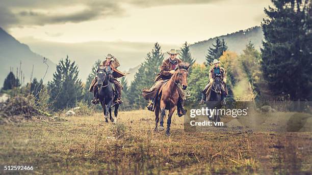 three horseback riders galloping across a field - cowboy bildbanksfoton och bilder