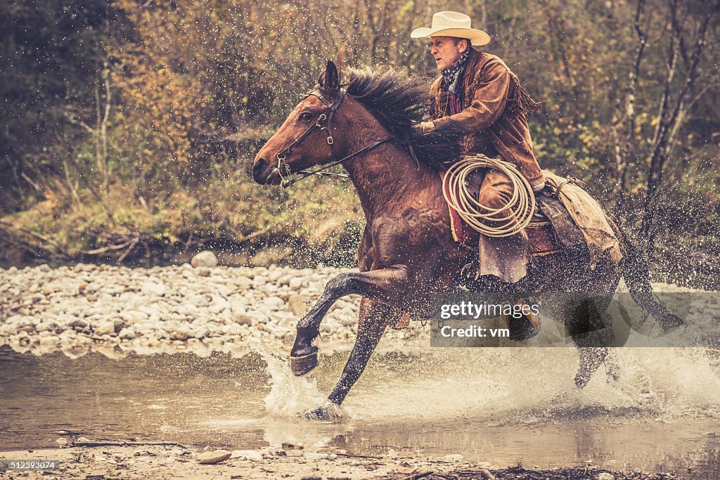 Cowboy riding across a river in the forest