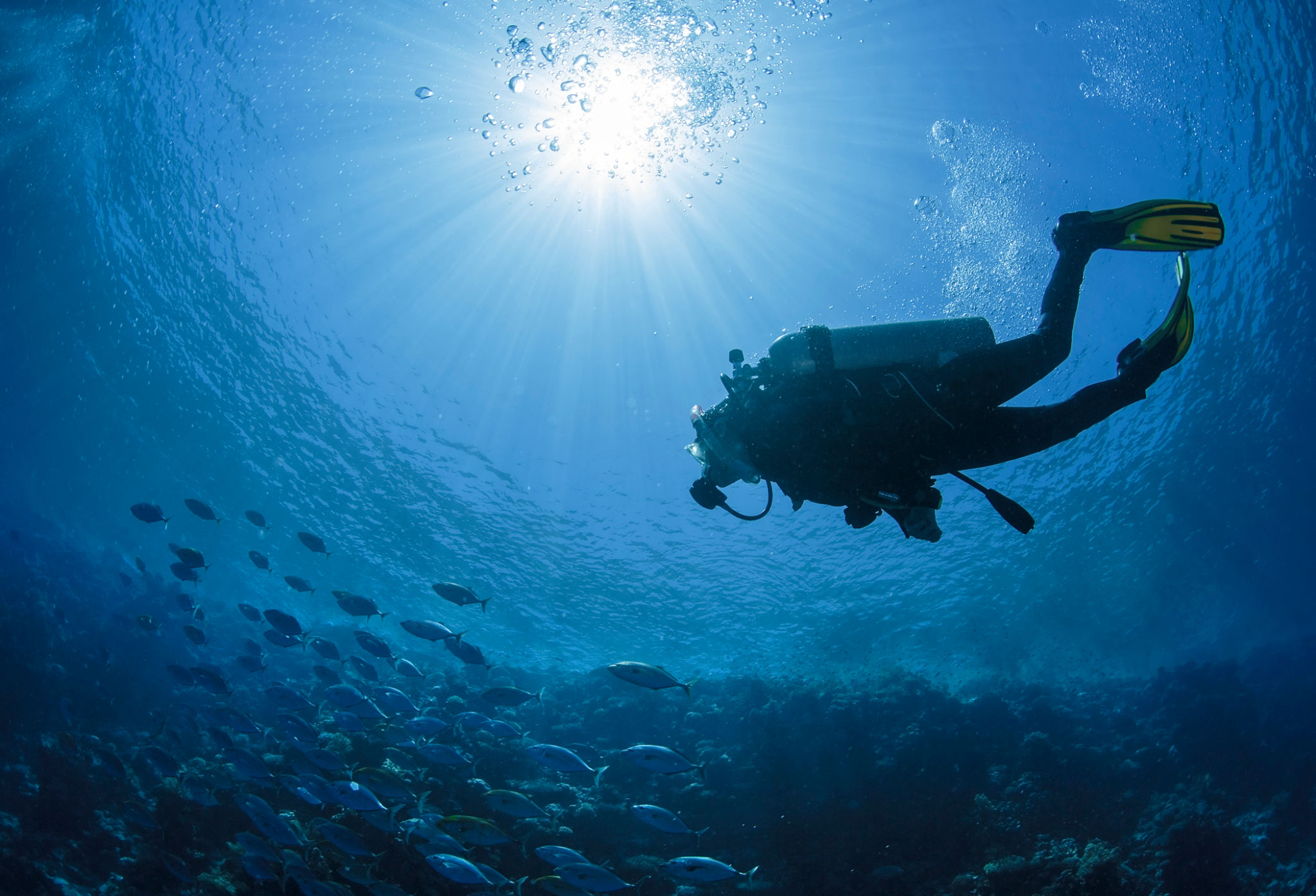 ocean diving