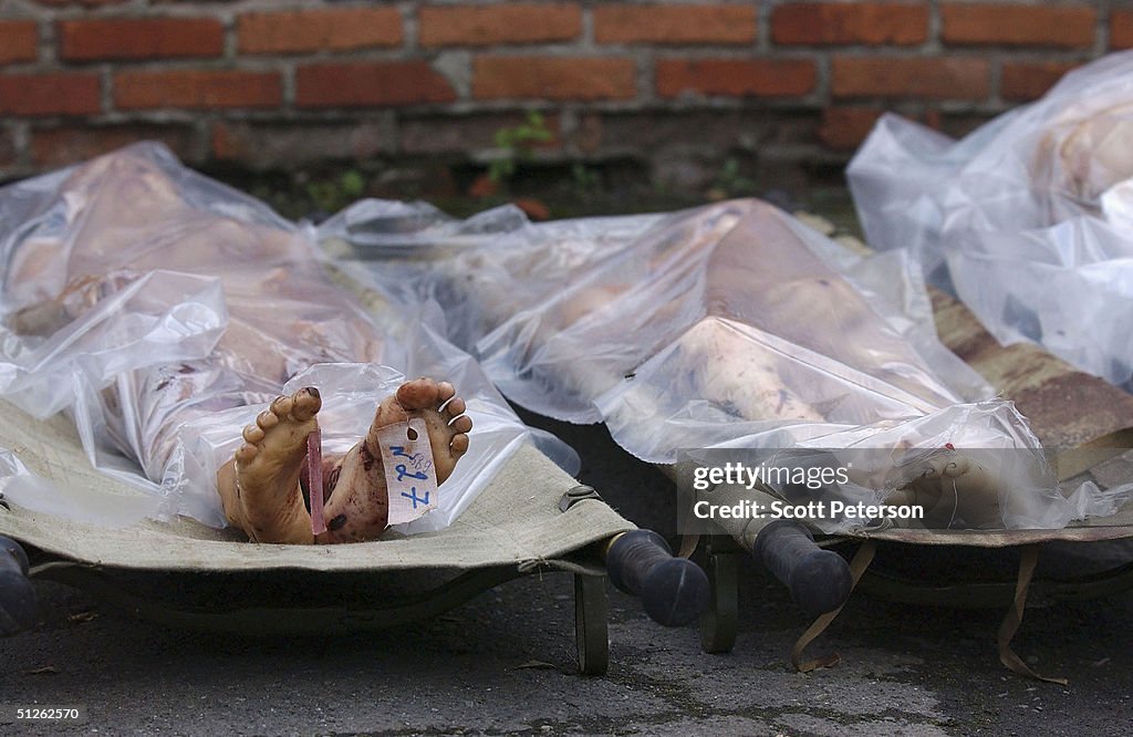 Relatives Identify Dead Children In The City Morgue of Vladikavkaz
