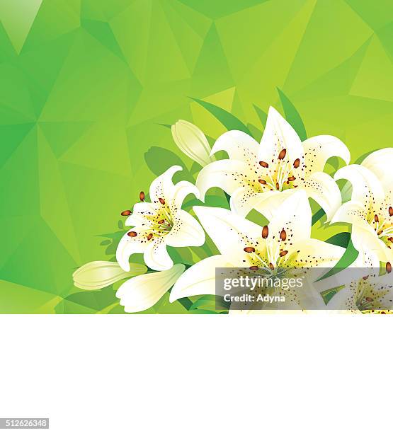 easter lily background - easter lily stock illustrations