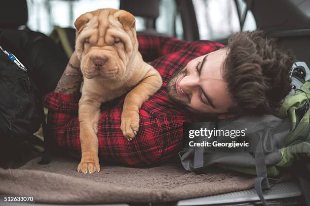 in viaggio con il suo cane - shar pei foto e immagini stock