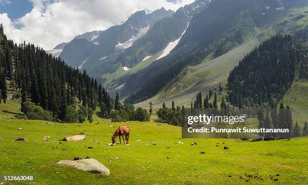 sonamarg mountain landscape and red hourse - kashmir day stock-fotos und bilder