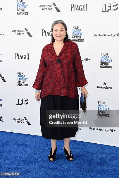Actress Robin Bartlett attends the 2016 Film Independent Spirit Awards on February 27, 2016 in Santa Monica, California.