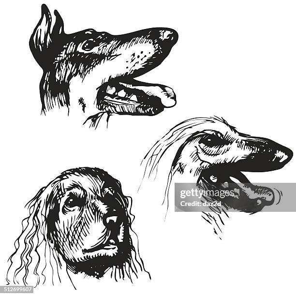 ilustraciones, imágenes clip art, dibujos animados e iconos de stock de perro de boceto - springer spaniel