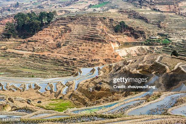 156 Yuanjiang Stock Photos, HighRes Pictures, and Images Getty Images