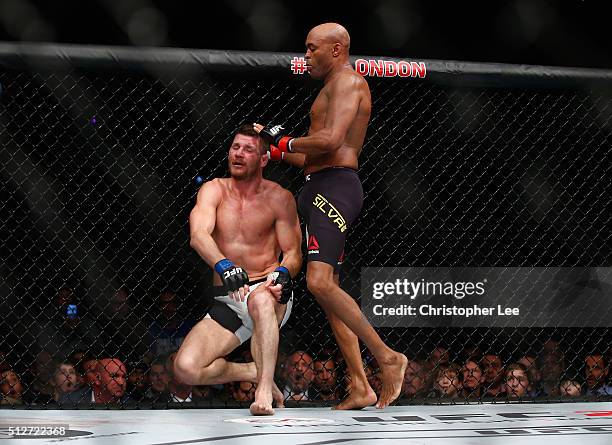 After knocking out Silva's gumshield Michael Bisping of Great Britain stops fighting Anderson Silva of Brazil but Silva fights on without his...