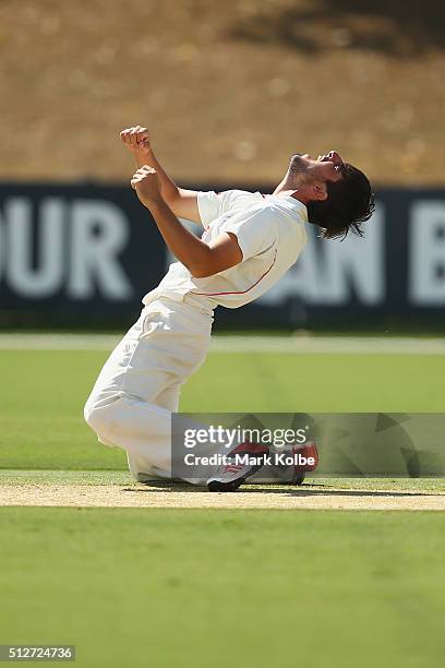 Cameron Valente of the Redbacks shows his frustration after an unsuccessful appeal during day four of the Sheffield Shield match between New South...