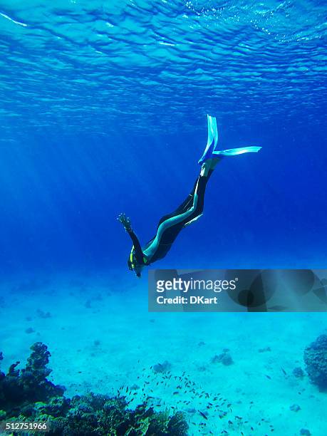 diver in deep blue sea - deep sea diving stock pictures, royalty-free photos & images