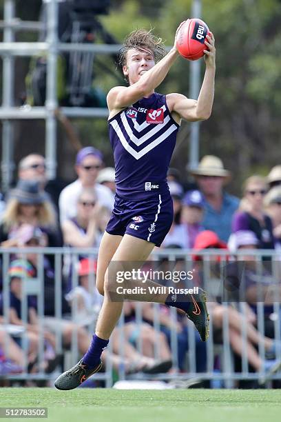 Ed Langdon of the Dockers marks during the 2016 AFL NAB Challenge match between the Fremantle Dockers and the Adelaide Crows at Sounness Park on...