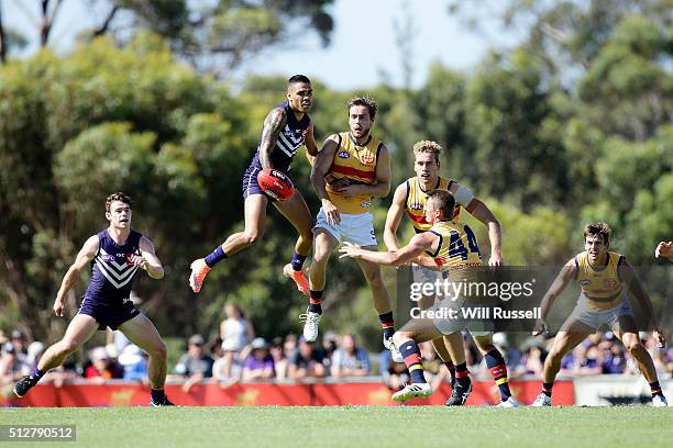 Matt Crouch of the Crows controls the ball during the 2016 AFL NAB Challenge match between the Fremantle Dockers and the Adelaide Crows at Sounness...