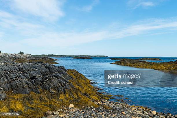 nova scotia coastline near lunenburg, blue rocks village - blue rocks nova scotia stock pictures, royalty-free photos & images