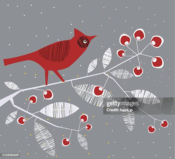 698 Ilustraciones de Pájaro Cardenal - Getty Images 698 Ilustraciones de Pájaro Cardenal - Getty Images