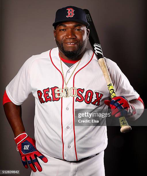 David Ortiz of the Boston Red Sox poses for a portrait on February 28, 2016 at JetBlue Park in Fort Myers, Florida.