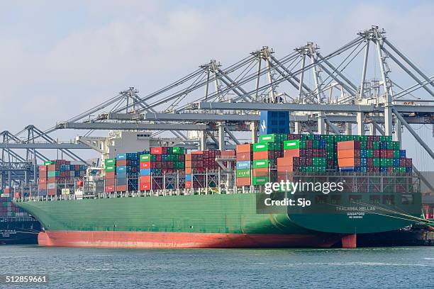 container frachtschiff - immergrüne pflanze stock-fotos und bilder