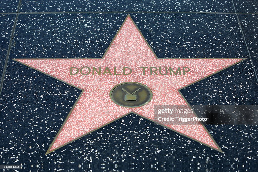 Donald Trump Hollywood Star