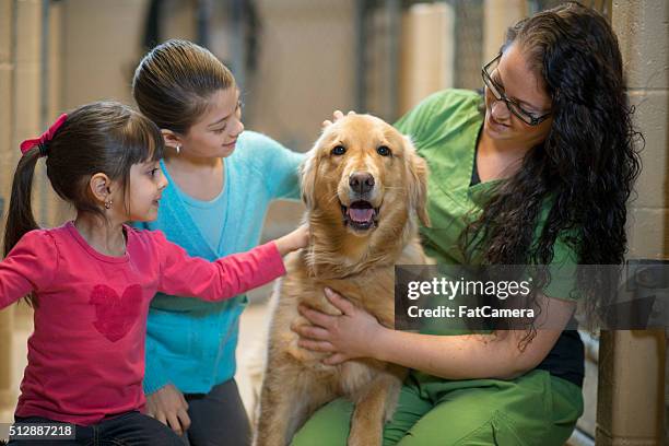 volunteering at an animal shelter - humane society stock pictures, royalty-free photos & images