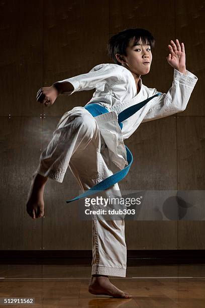 jovem rapaz a praticar em caratê - karate imagens e fotografias de stock