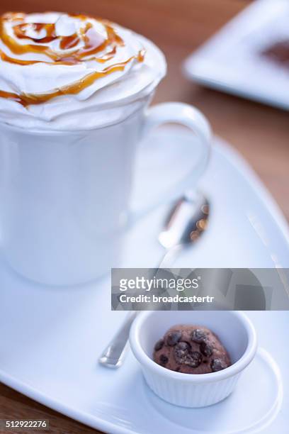 caramel mocha - gelato al caffè e cioccolato foto e immagini stock