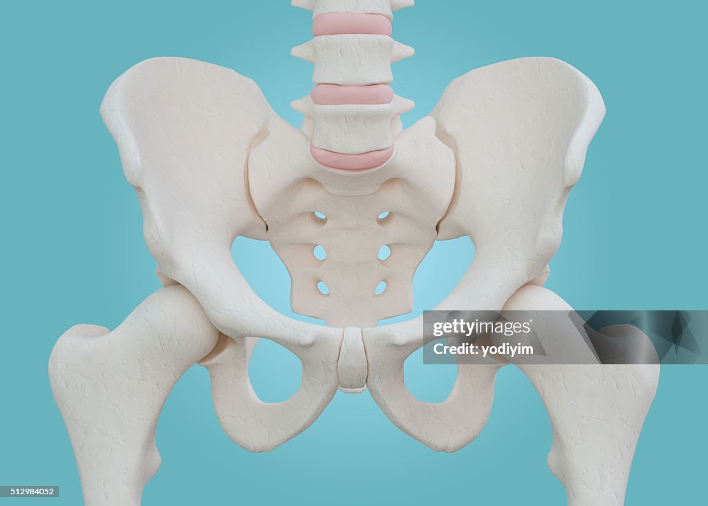 Hip Skeleton on blue background.