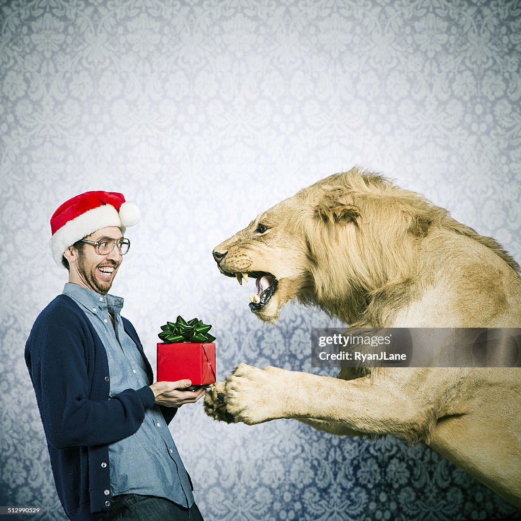 Christmas Present for a Lion