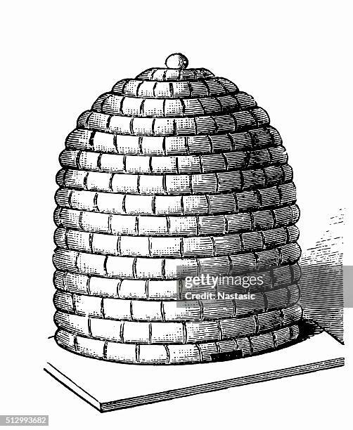 bee hives - hive stock illustrations