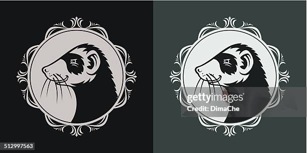 ferret in frame - ferret stock illustrations