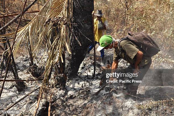 Forest and land fires occurred in Meranti Islands Regency, Riau Province. Land on fire in the village of Bokor, Pecah Tempayan.The local community,...