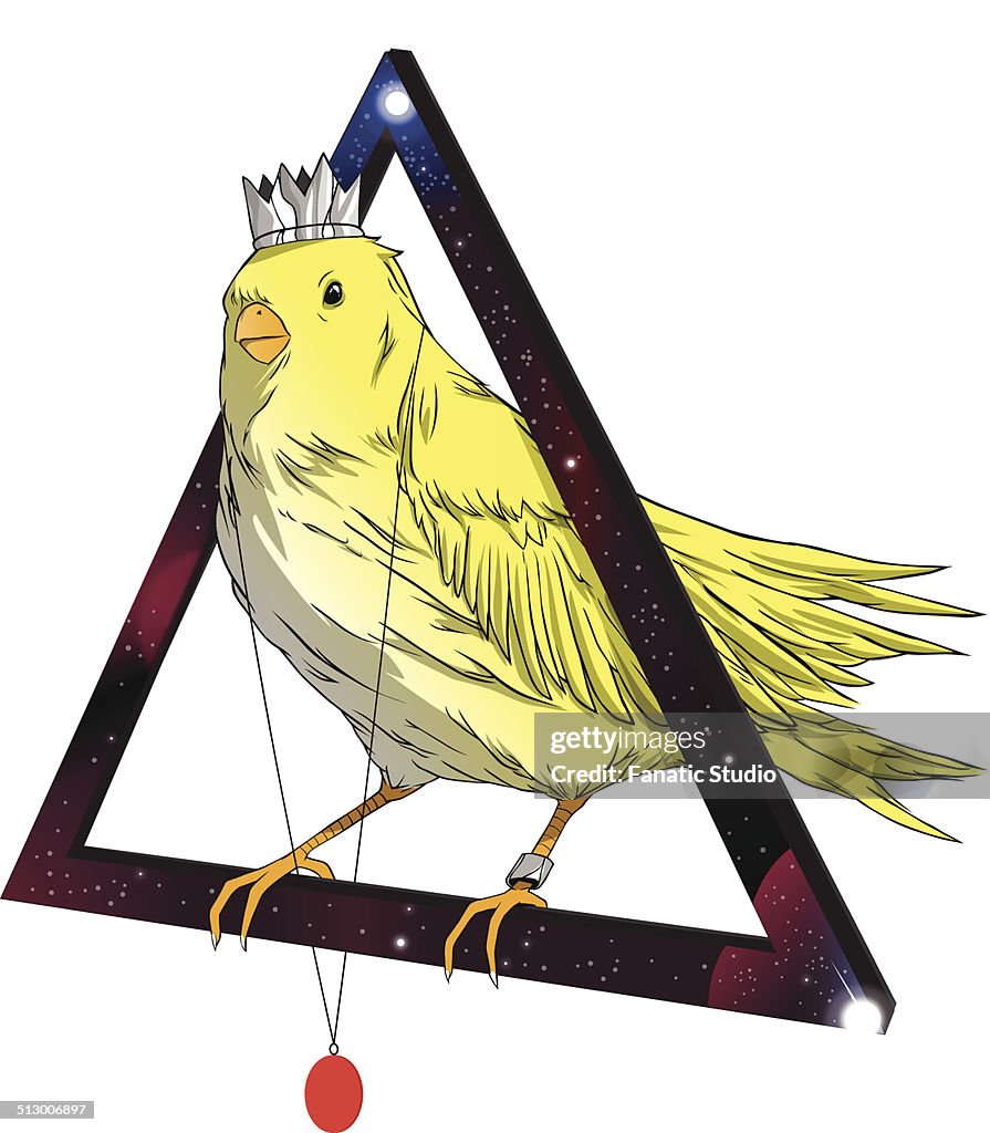 Illustration of bird wearing crown and locket standing on triangle against white background