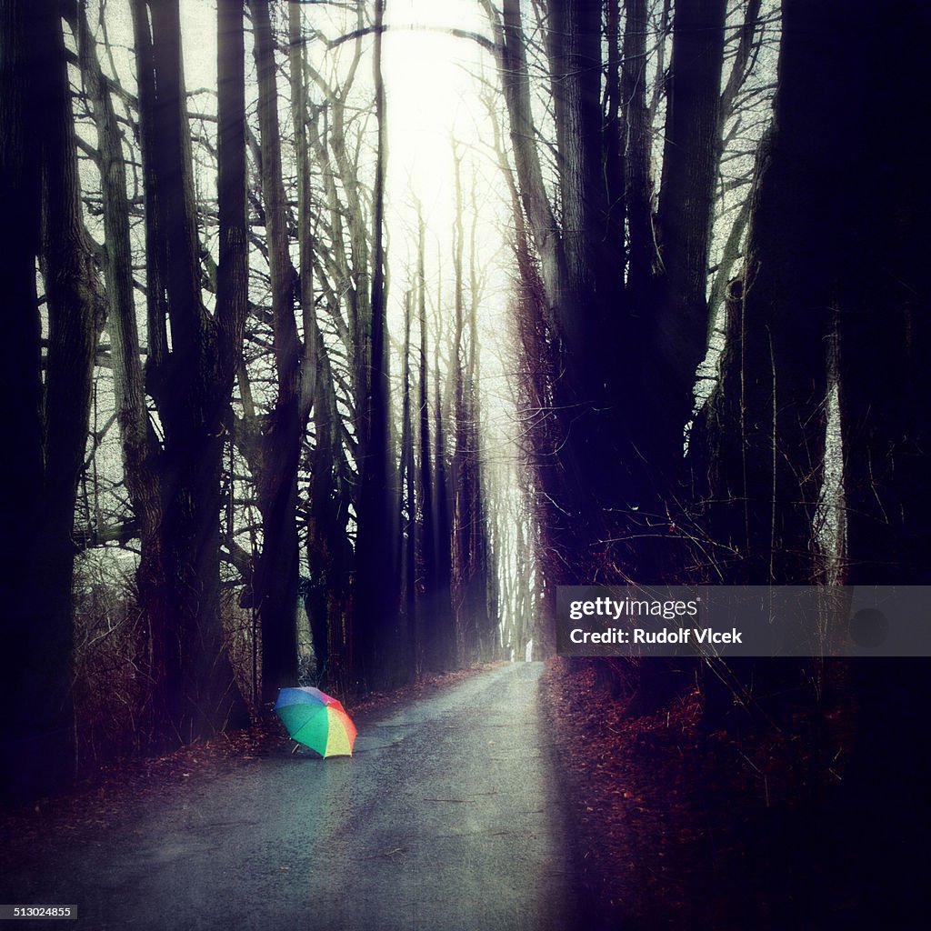 Umbrella placed on a road in a line of trees