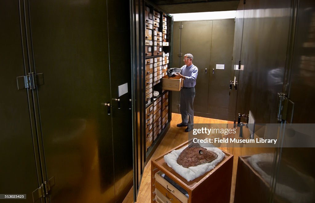 'The Permian Reptile Collection Storage Room'