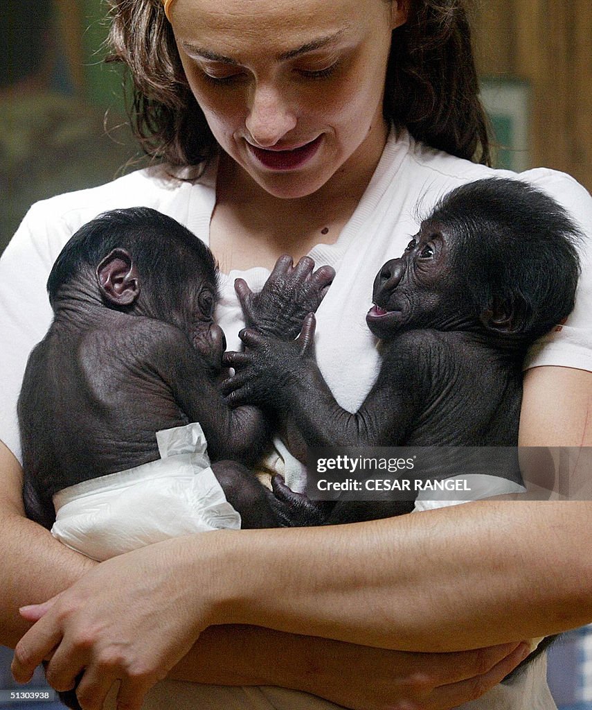 A woman caaries a pair of black twin gor
