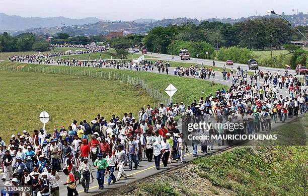 Long column of indigenous peasants march 14 September, 2004 along the Pan American highway on the strecht between the cities of Quilichao and Villa...