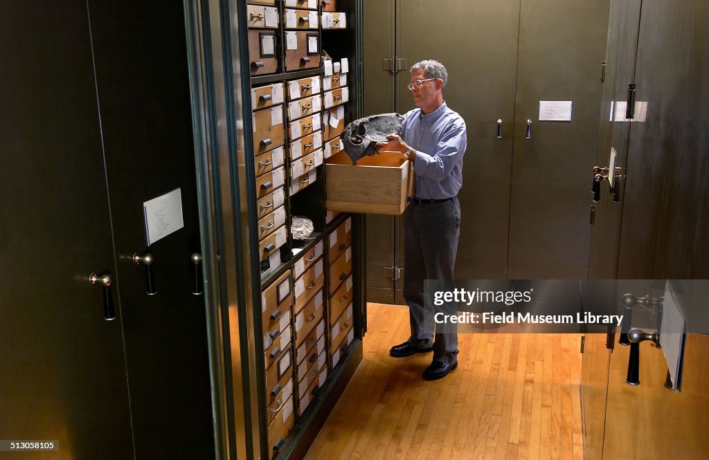 'The Permian Reptile Collection Storage Room'