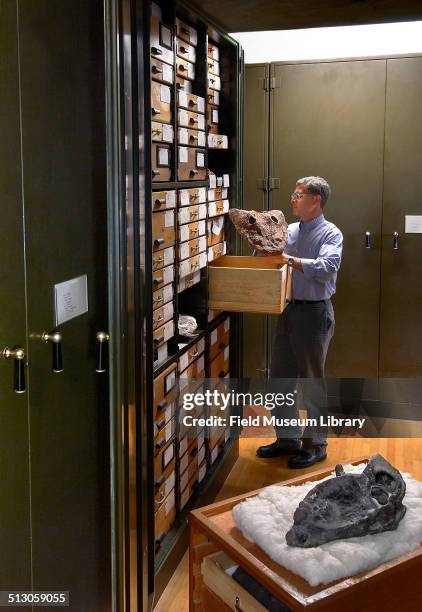 William 'Bill' Simpson standing by an open cabinet in the Permian Reptile Collection storage room, in the 3rd floor Geology department, March 1987....
