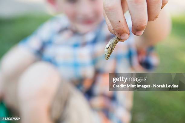 a young boy holding a small fish in his fingers. - children fish pattern stock pictures, royalty-free photos & images