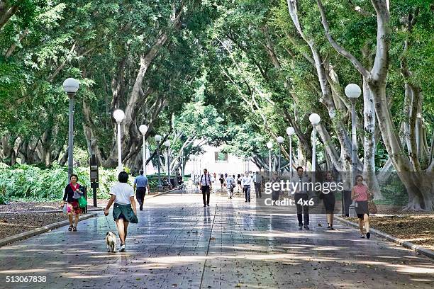 gente cammina in hyde park, sydney - hyde park sydney foto e immagini stock