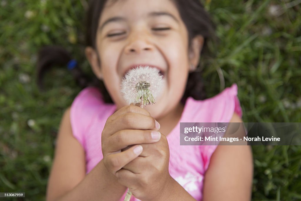A girl lying on the ground, holding a dandelion seed head clock.