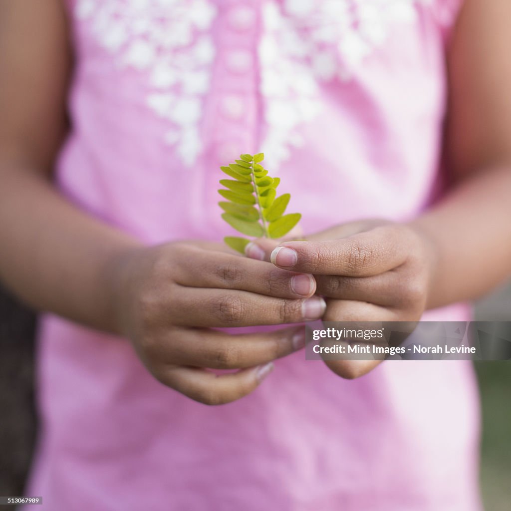 A child, a girl in a pink shirt holding a small fern leaf in her hands.