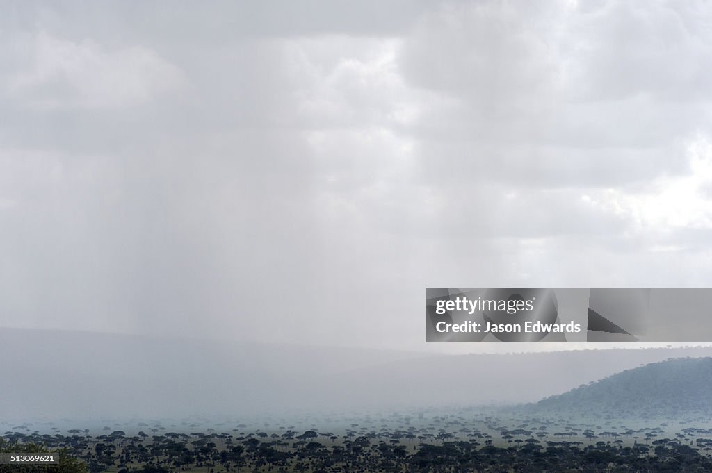 Moru Kopjes, Serengeti National Park, Serengeti, World Heritage Site, Tanzania.