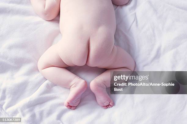 baby's buttocks, high angle view - fesses photos et images de collection